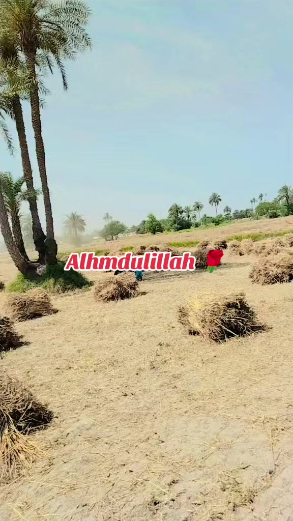 @👑Sajeel SaJu Malik👑
