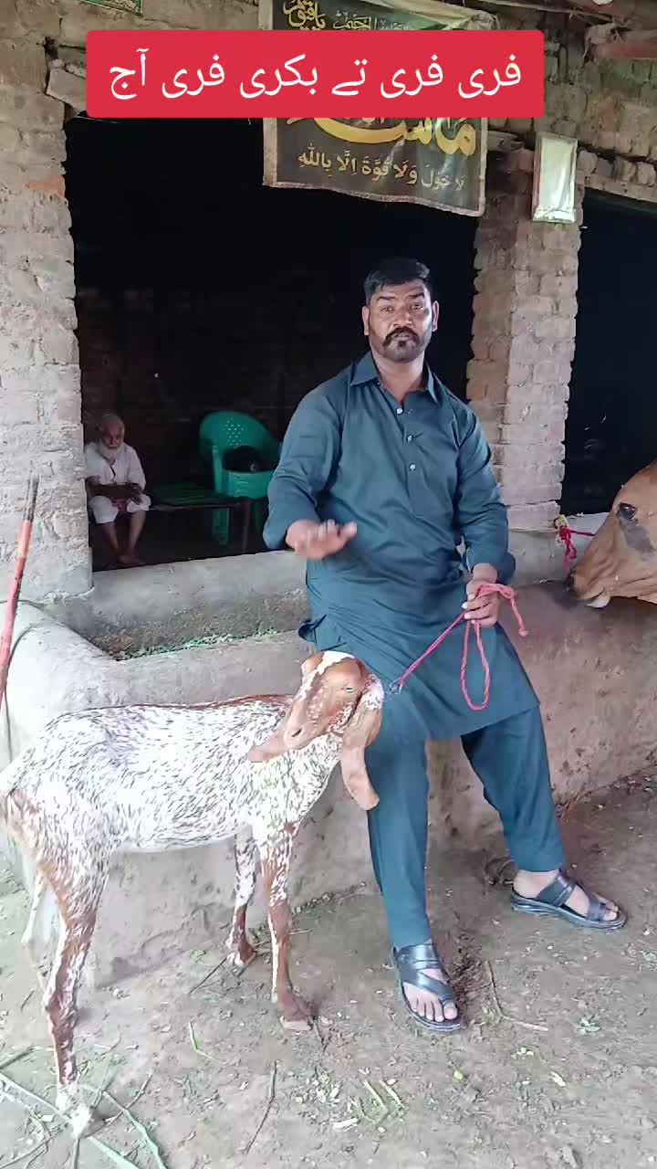 @Farming and Business Ideas