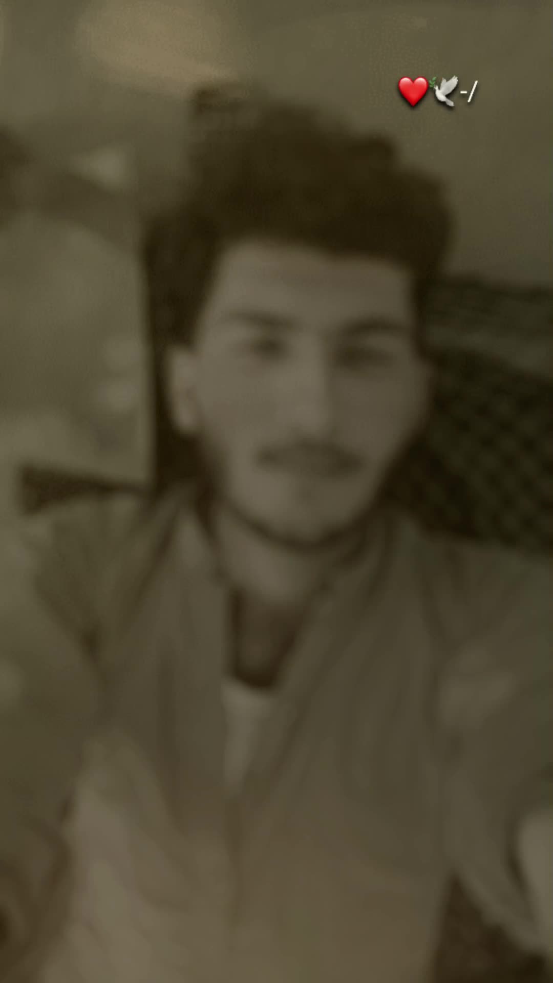 @ShᴀkeelܔAʀᴀɪn♡