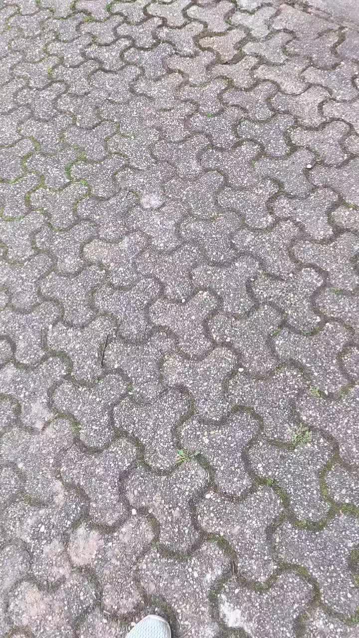 @VWLoverKunkel