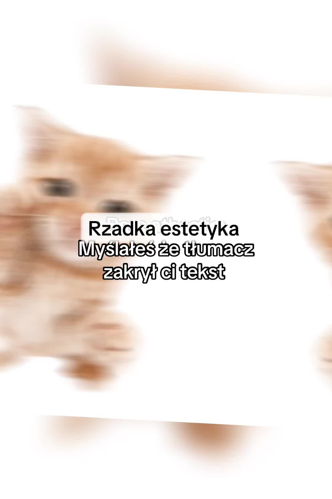 @˚˖𓍢ִ໋❀🪽