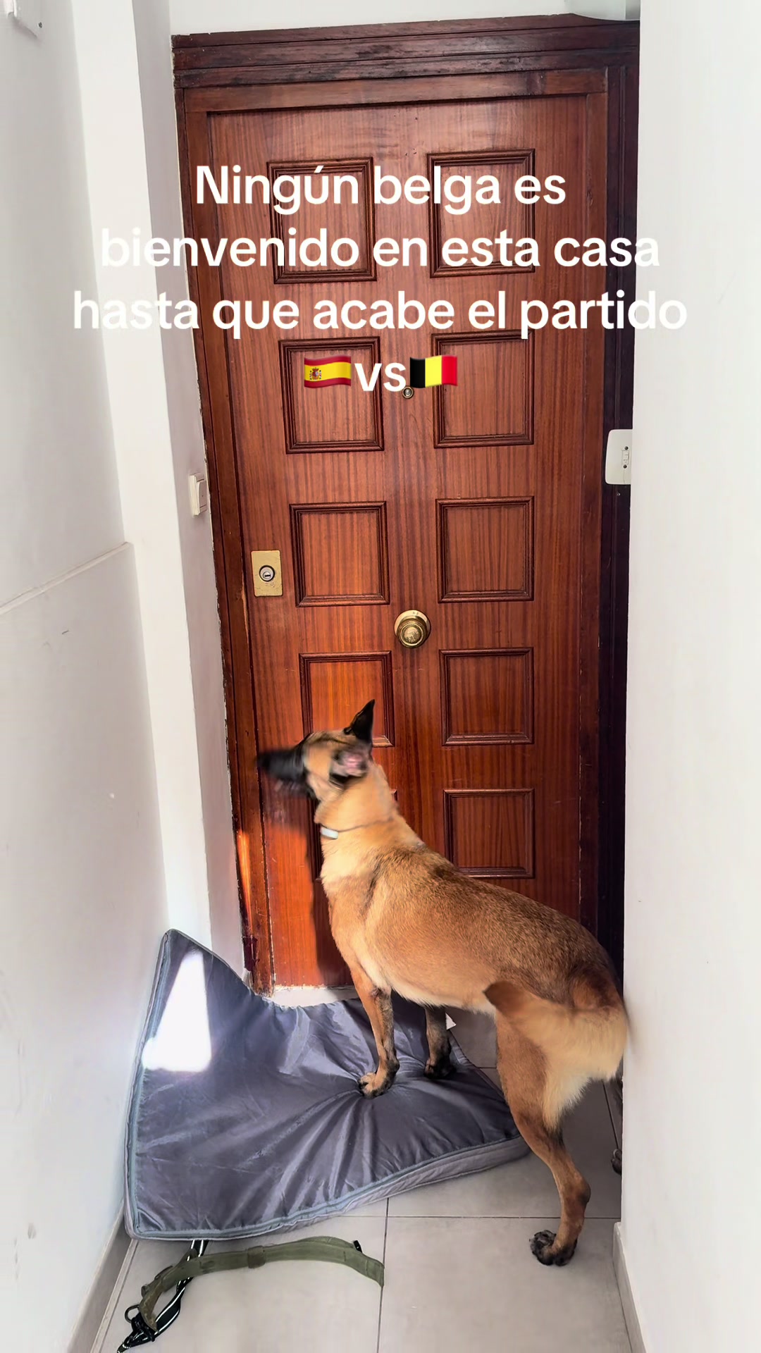 @Lobalobita