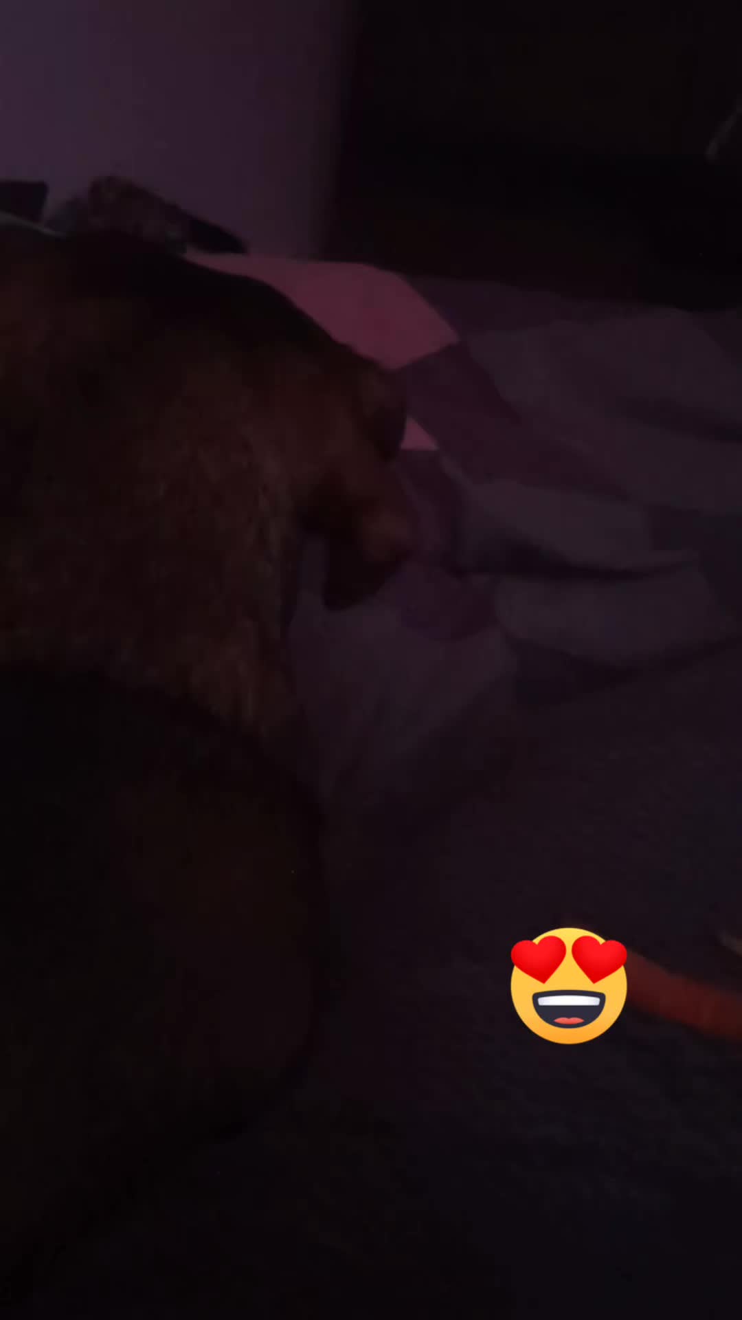 @Tuptuś