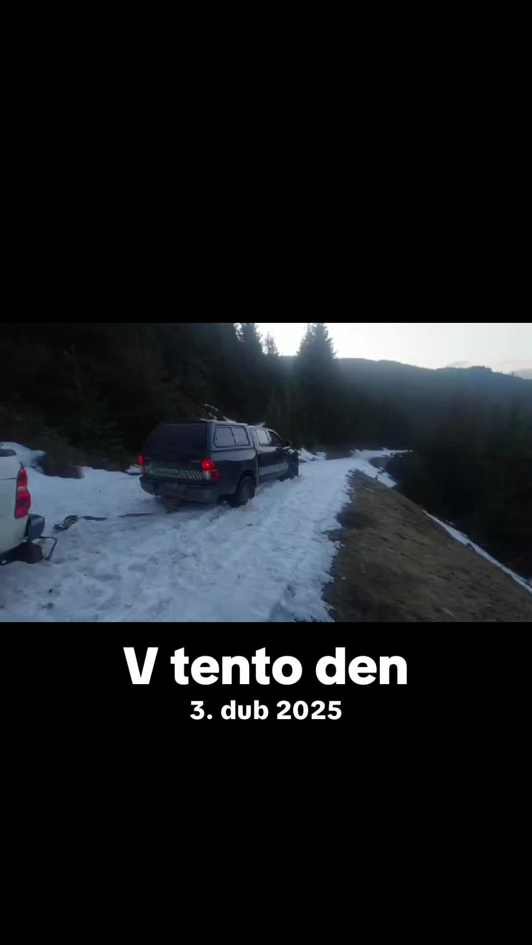 @🌲🌲Prosťě Fidla🤷♂️🤷♂️🌲🌲