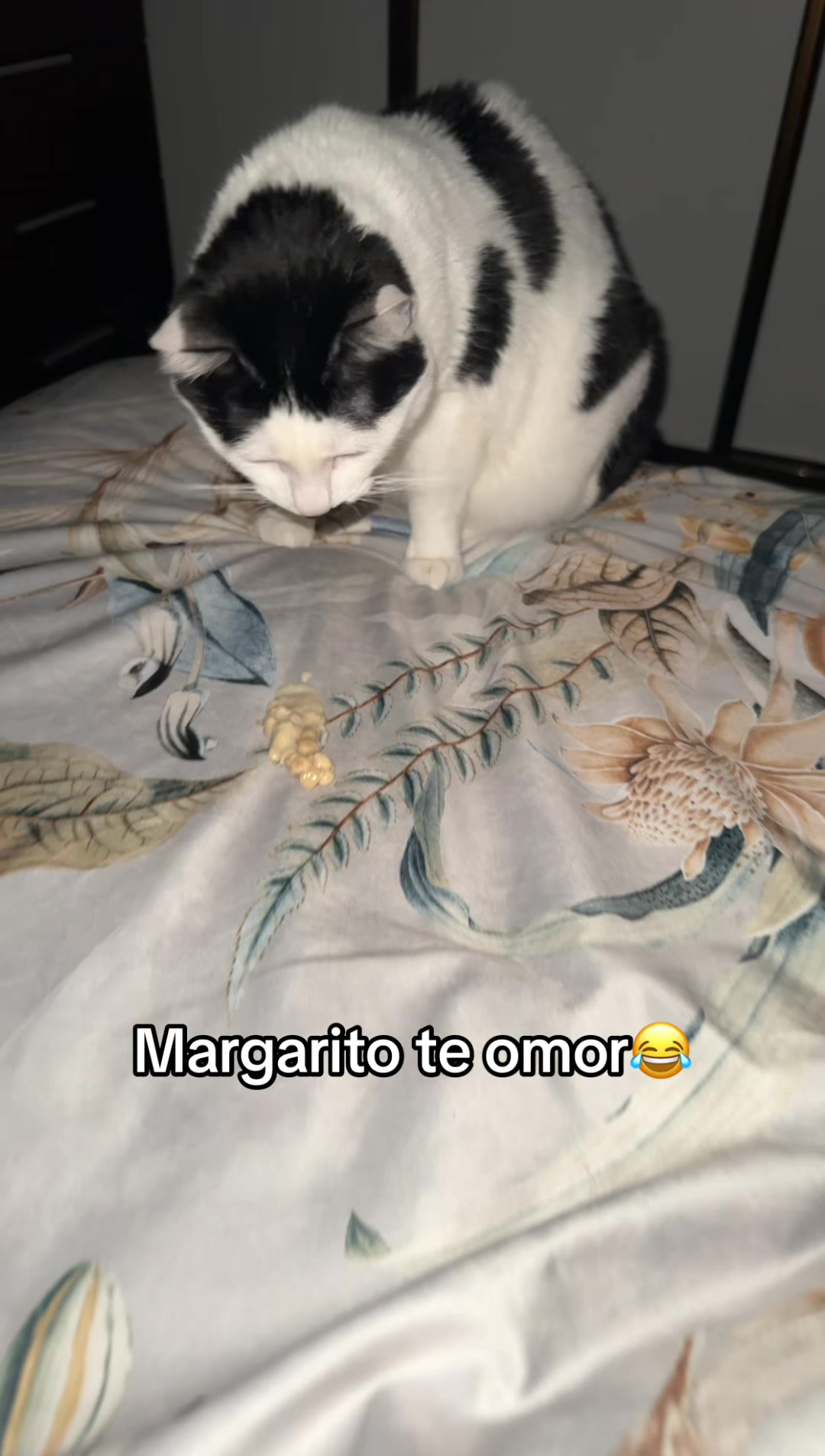 @Ionela