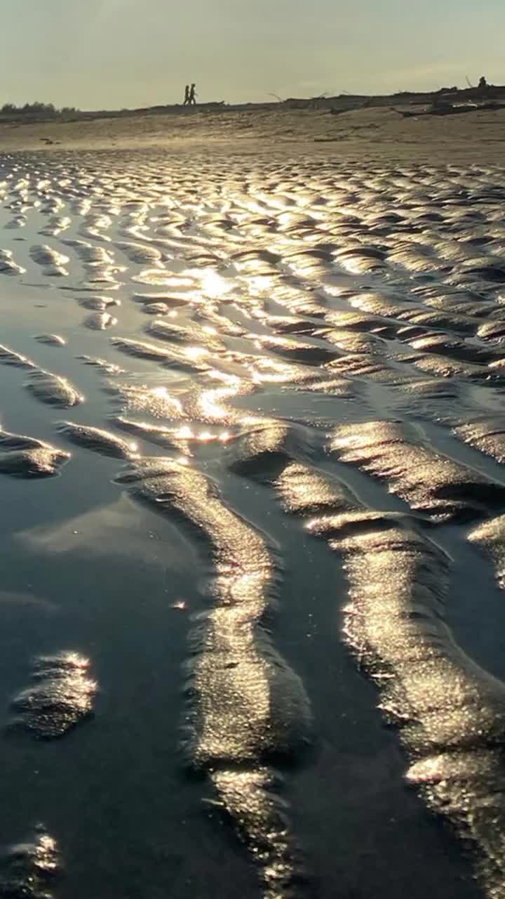 @guitarfuk