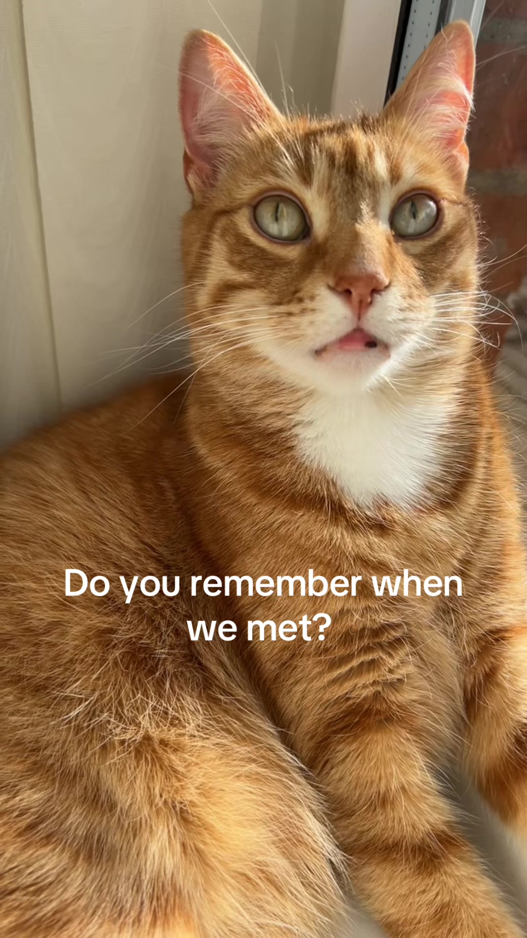 @KK