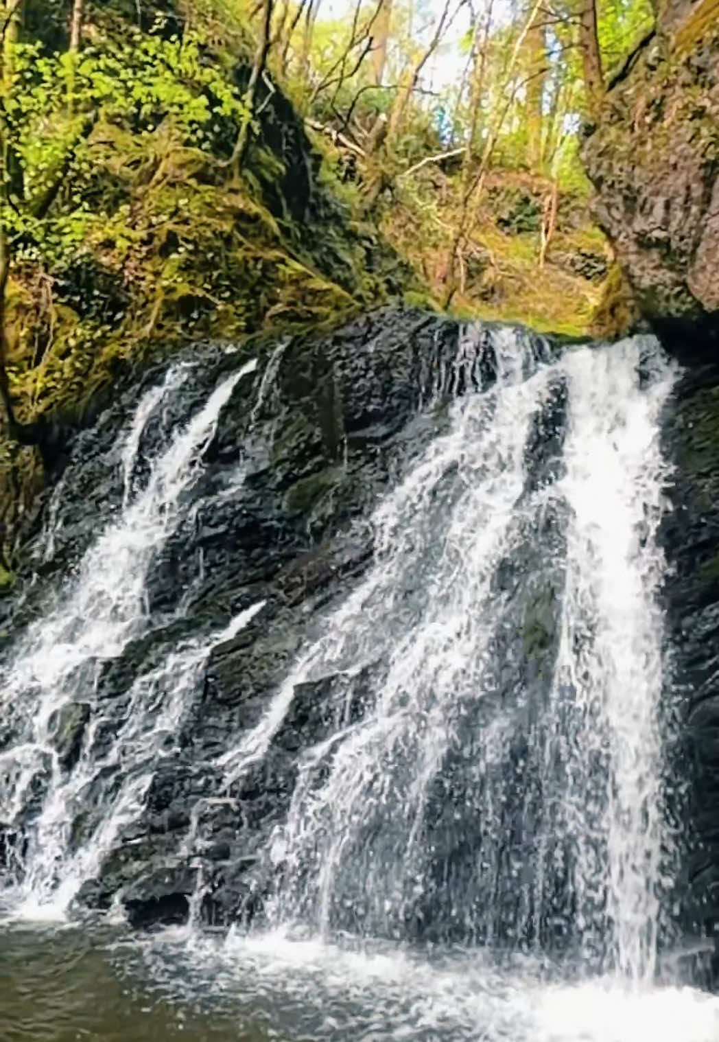 @thebeautyofscotland17