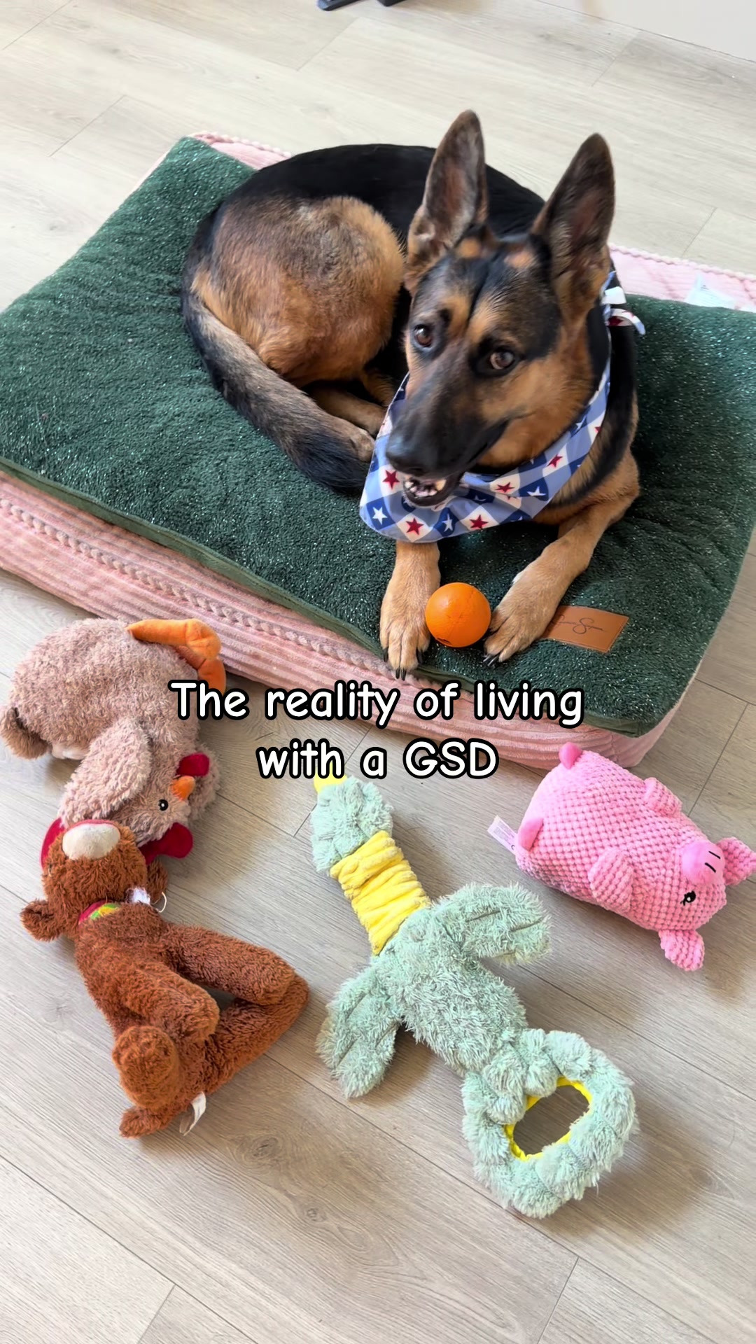@Rory The Not-Working GSD