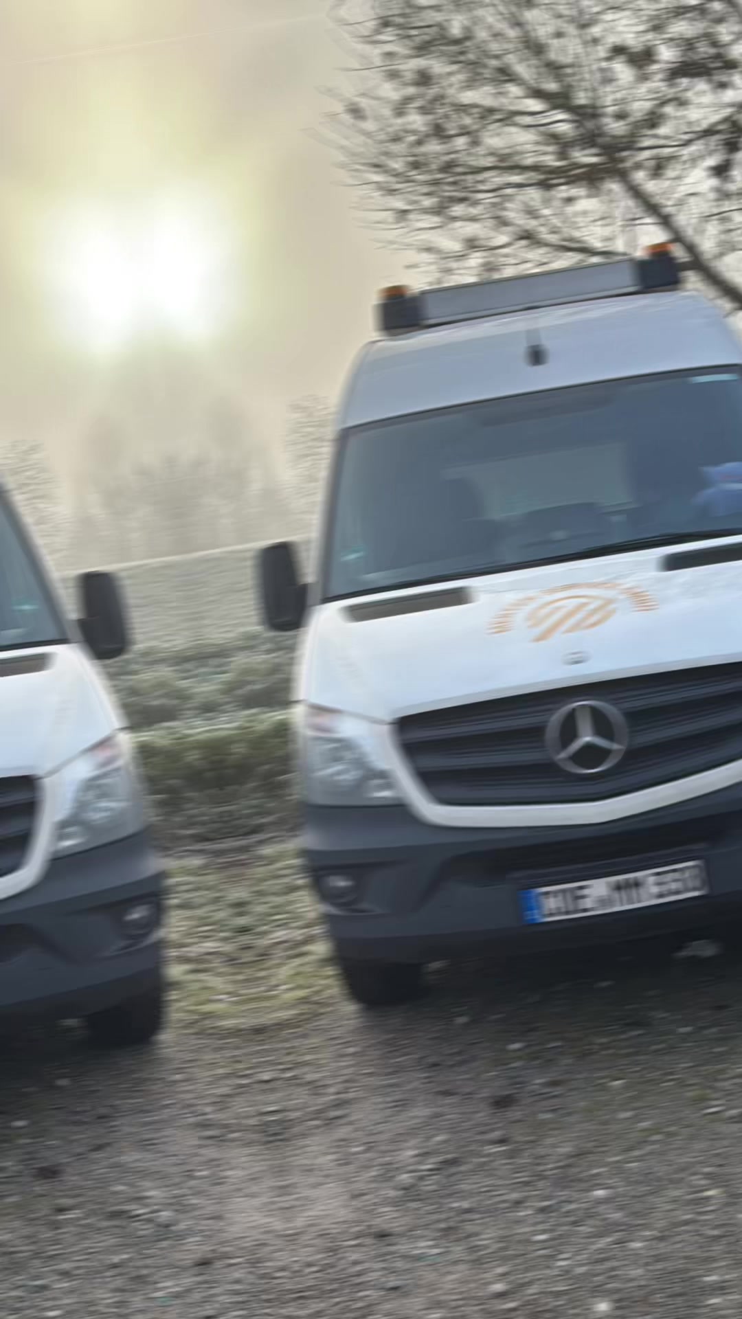 @🚨 Gelblicht Bärchen 🚨