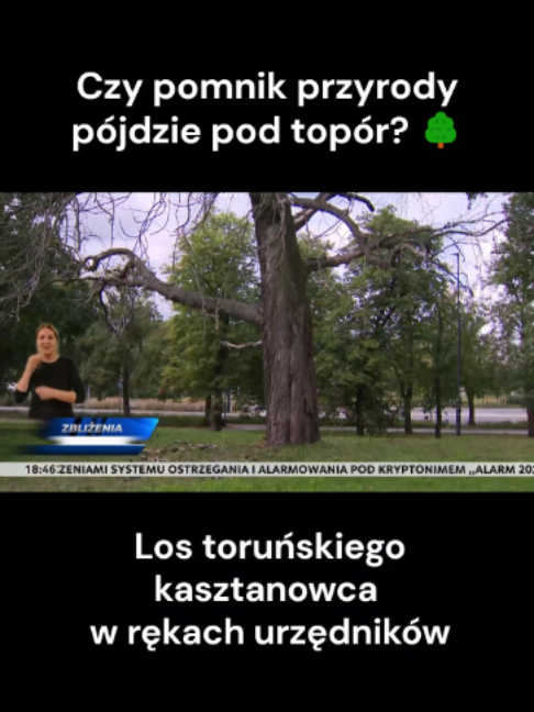 @TVP3 BYDGOSZCZ