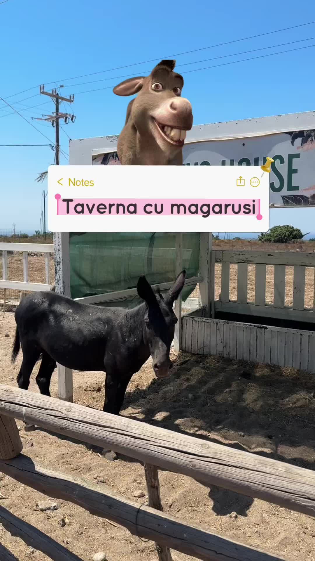 @Vera🧚🏼♀️