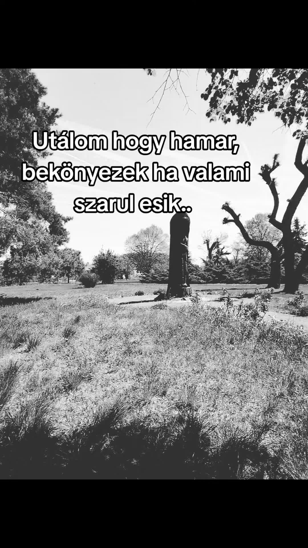 @Hannas_12