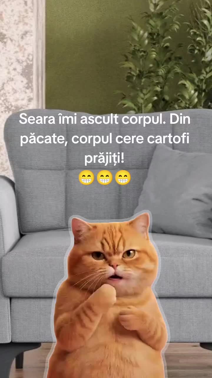 @Carmen Buhinschi