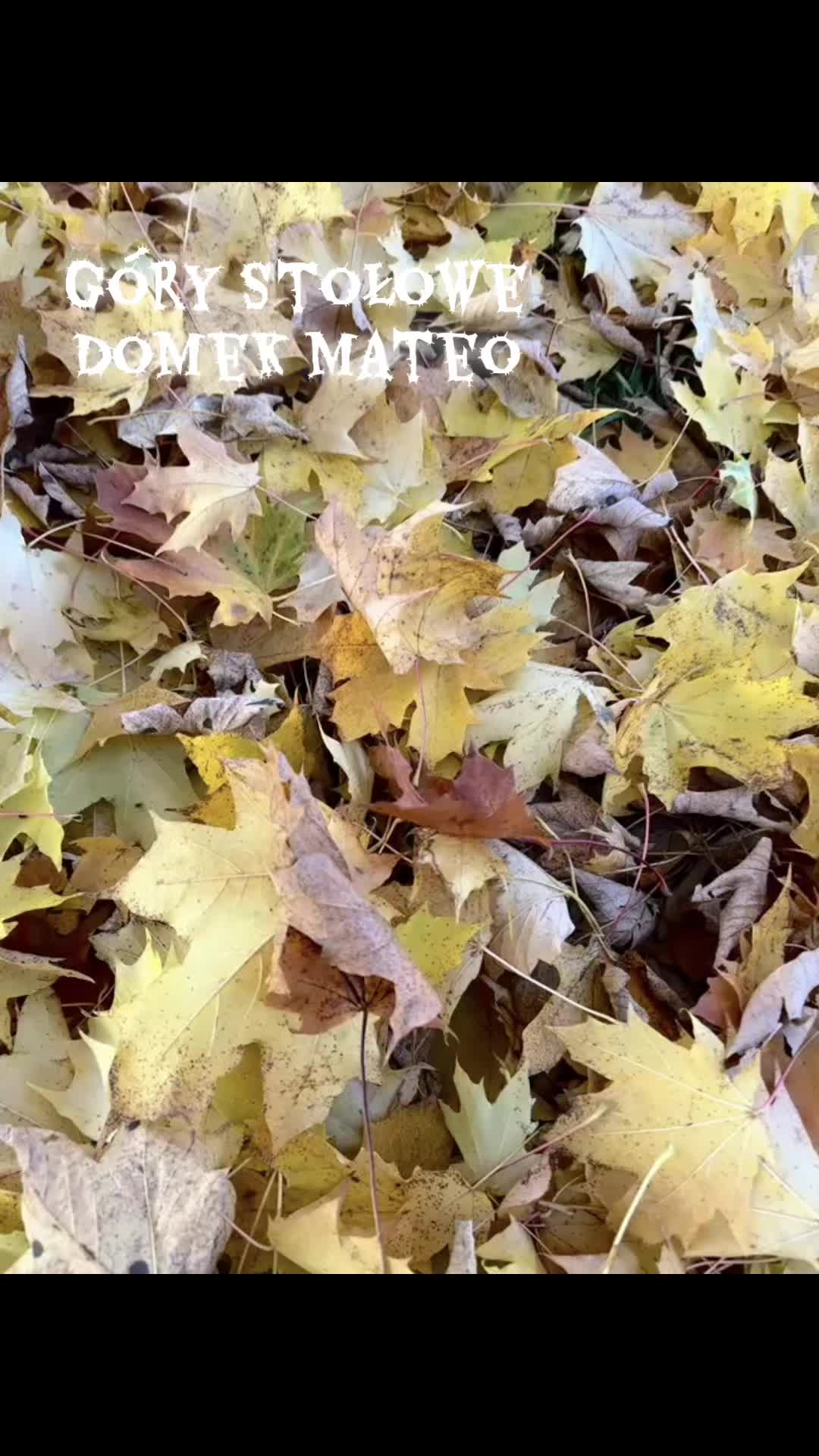 @domekmateo
