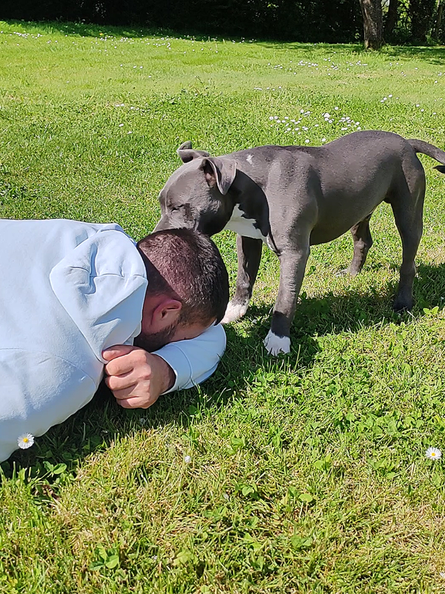 @Asko amstaff