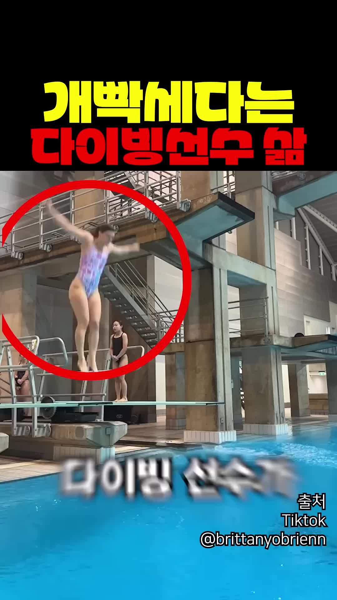 @짱아까미