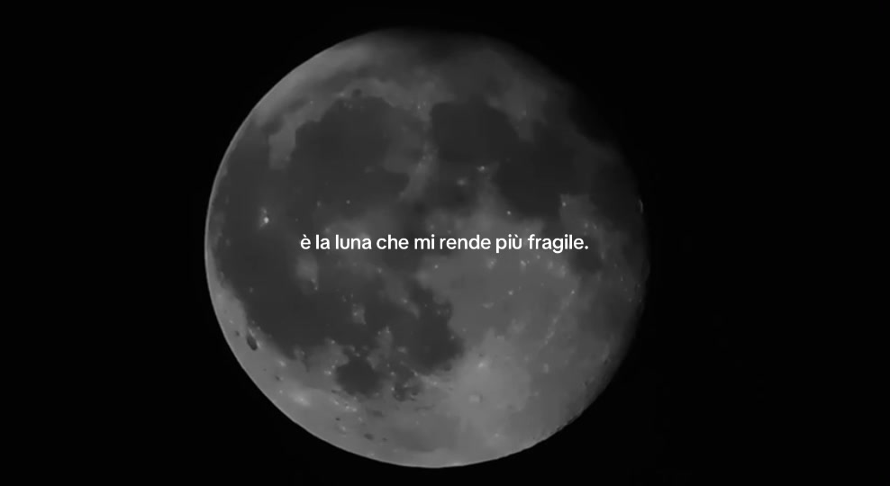 @scheggia☽