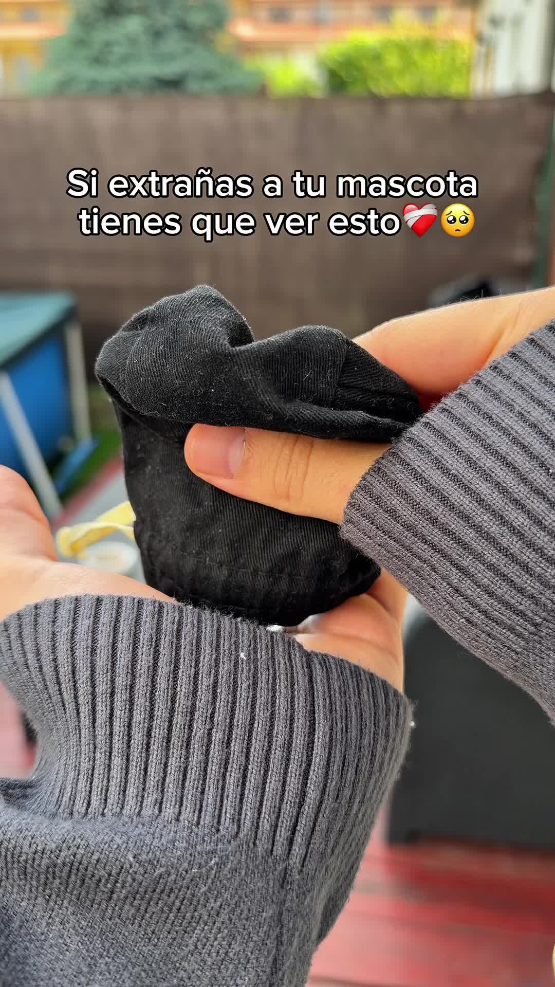 @🔮ENLACE EN LA BI0🔮