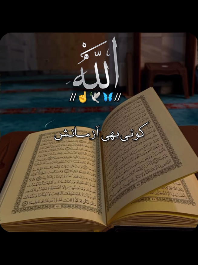@✨Shahbaz-edit✨