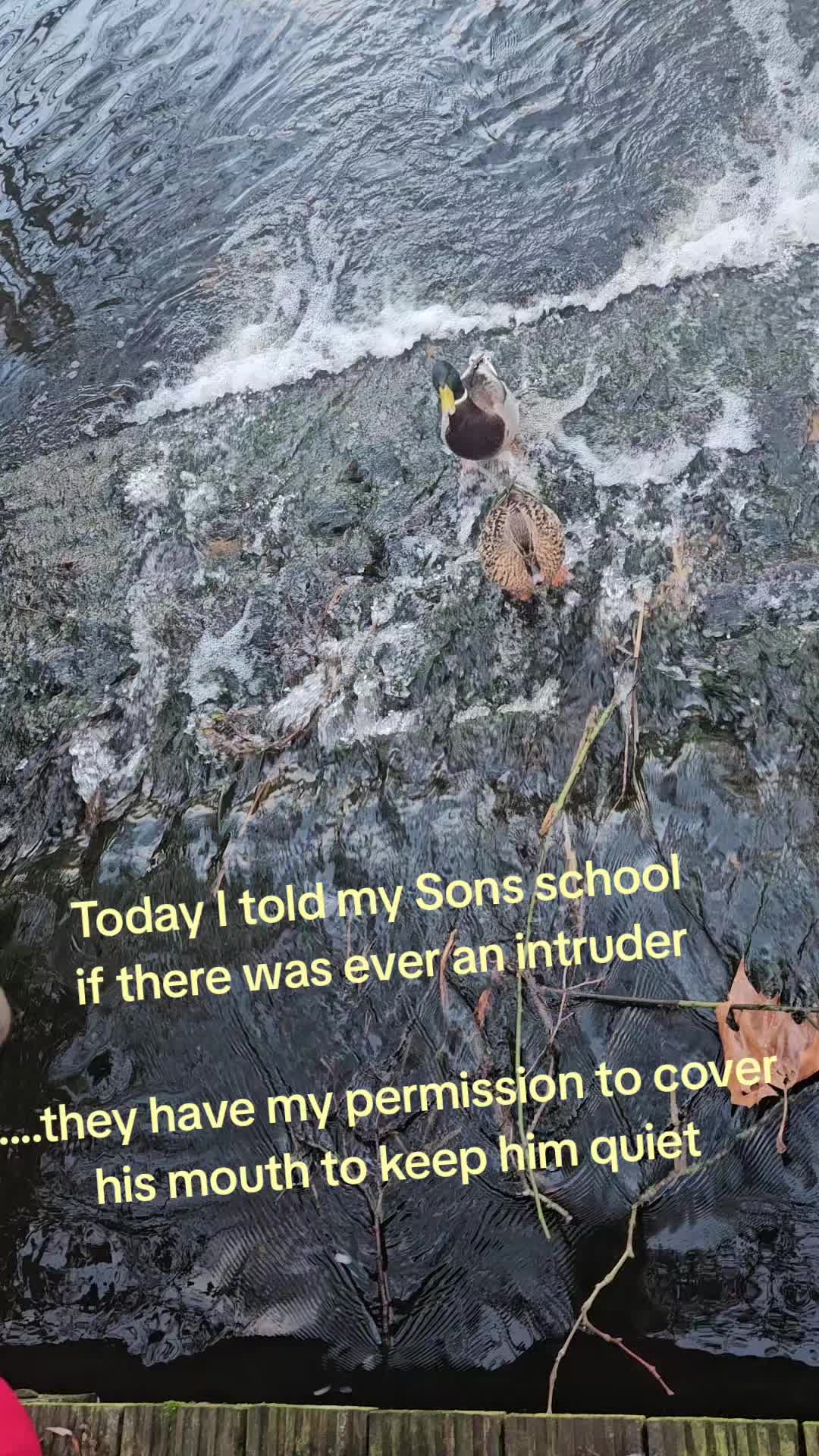 @🤍 𝕄𝕚𝕔𝕙𝕒𝕖𝕝𝕒 🤍