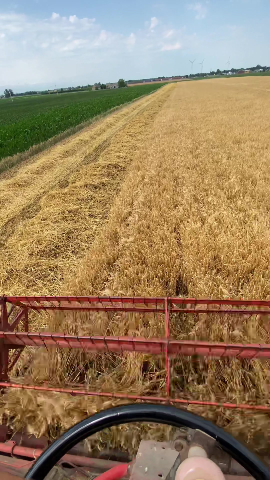 @Ćwikła agro
