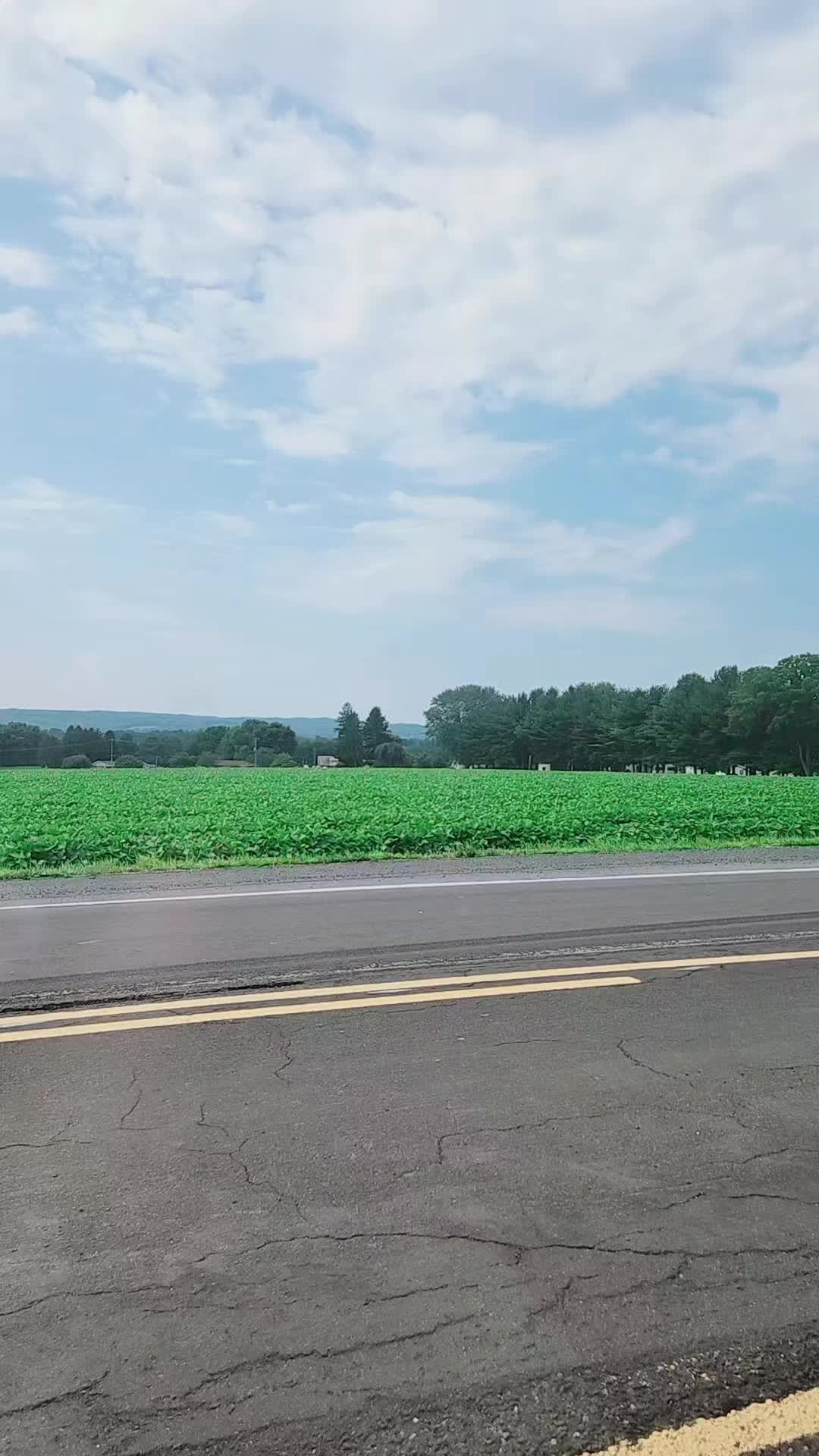 @CEO 🇺🇸