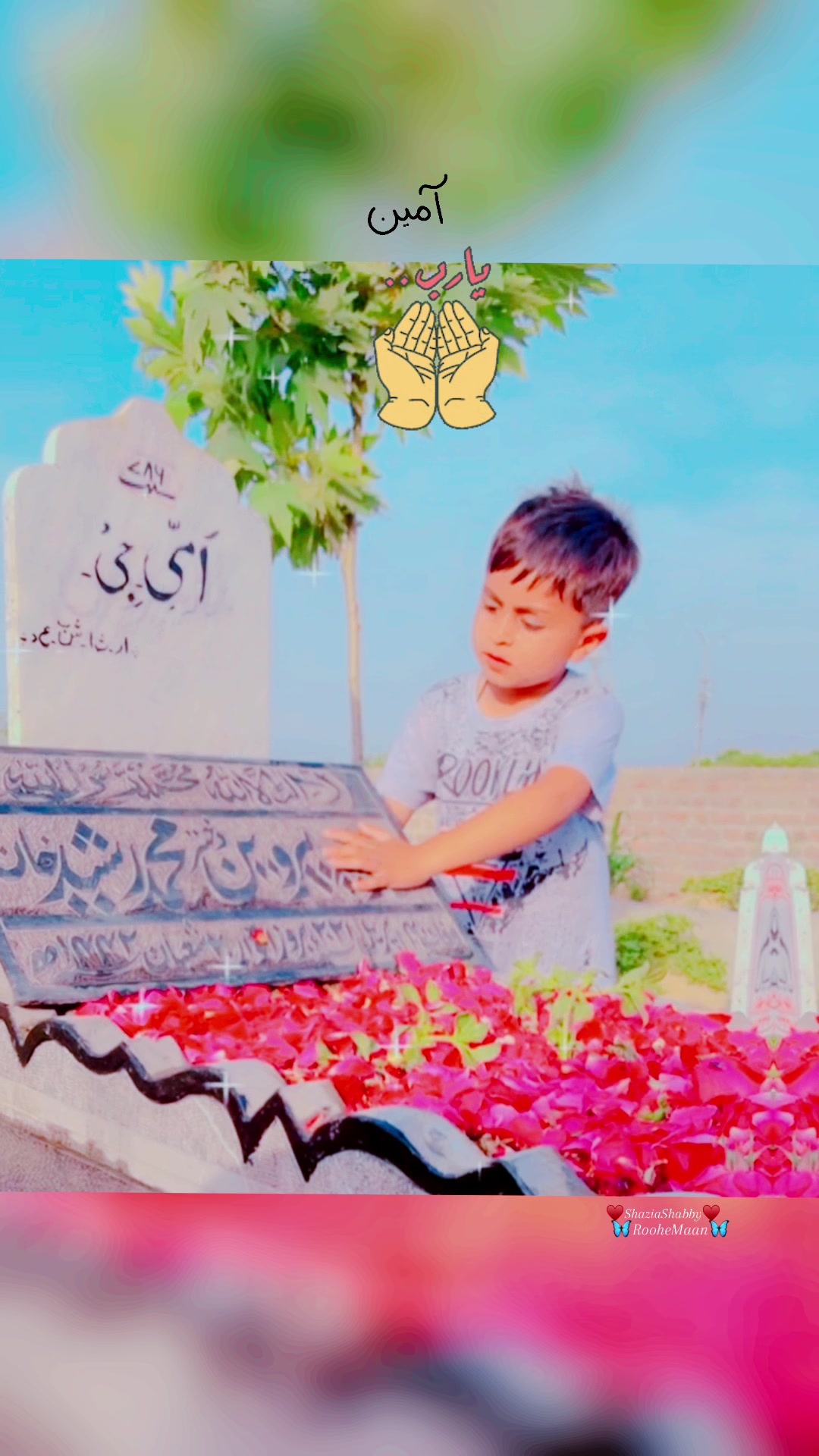 @Shaby♥️✨سیپ