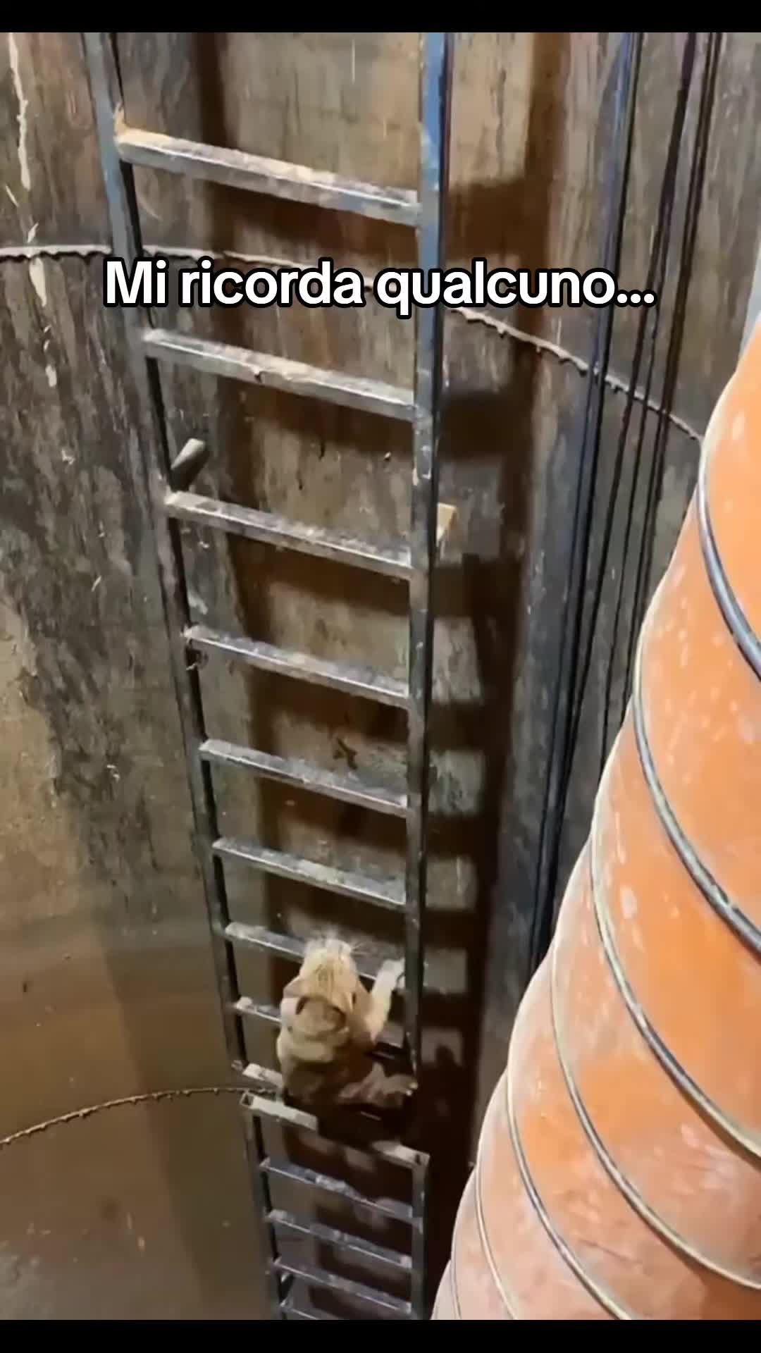 @Prototypex92