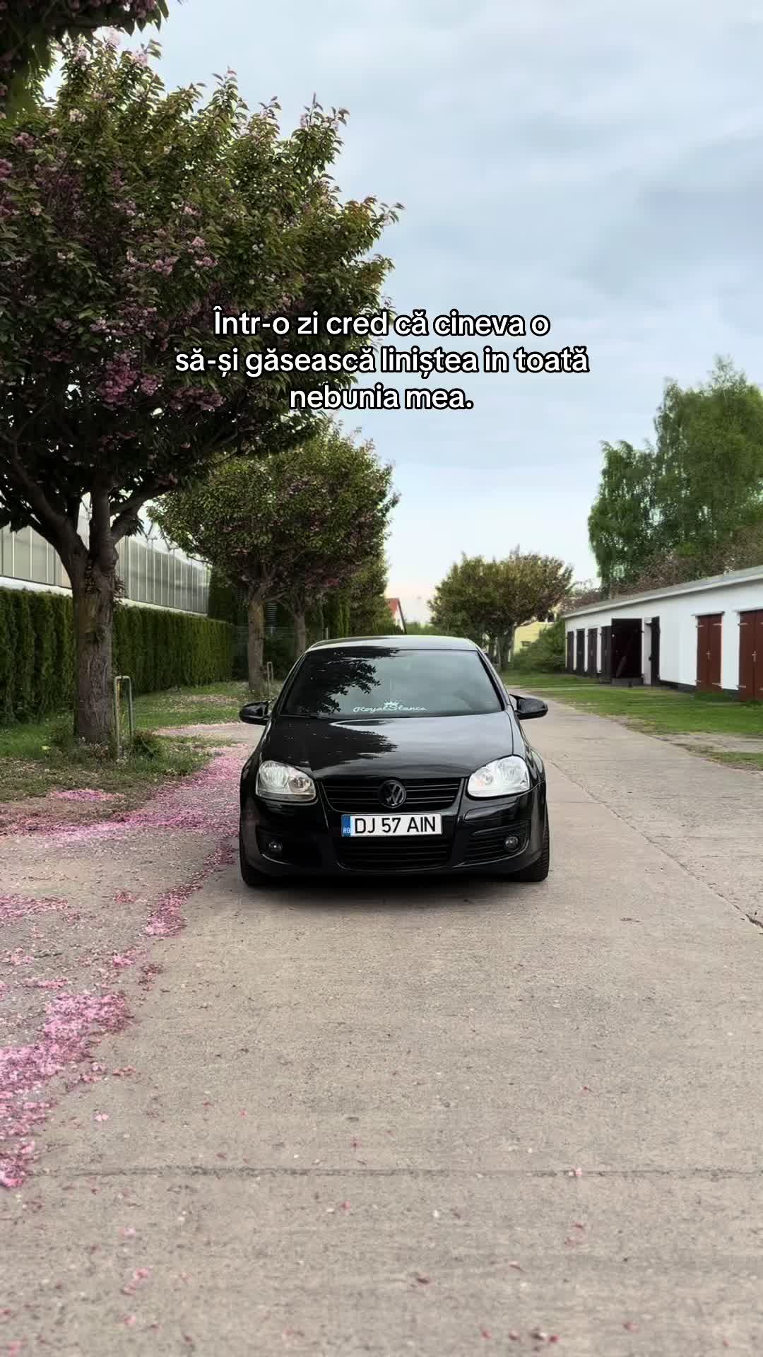 @Alin Florin