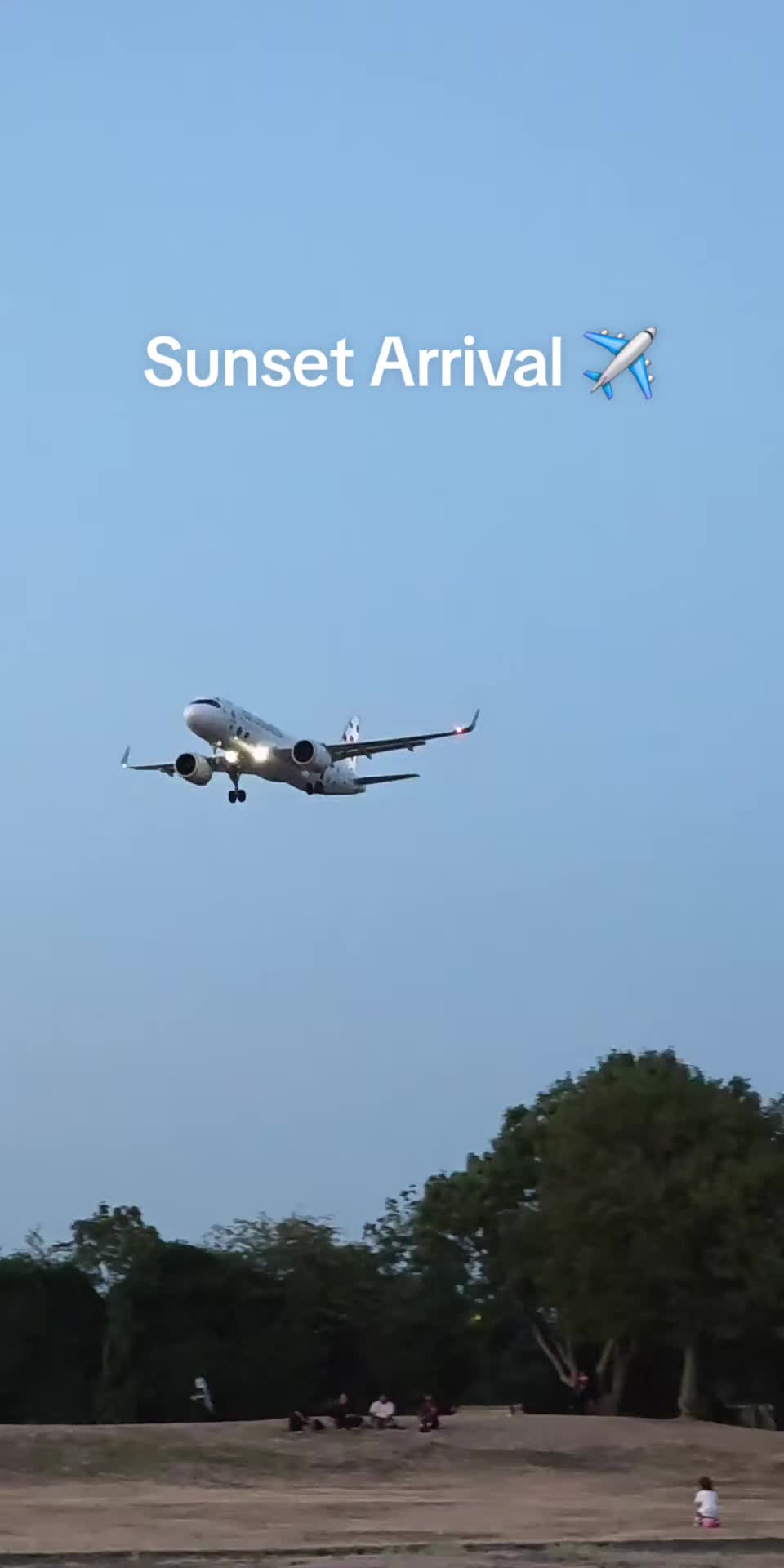 @Aviation Dan