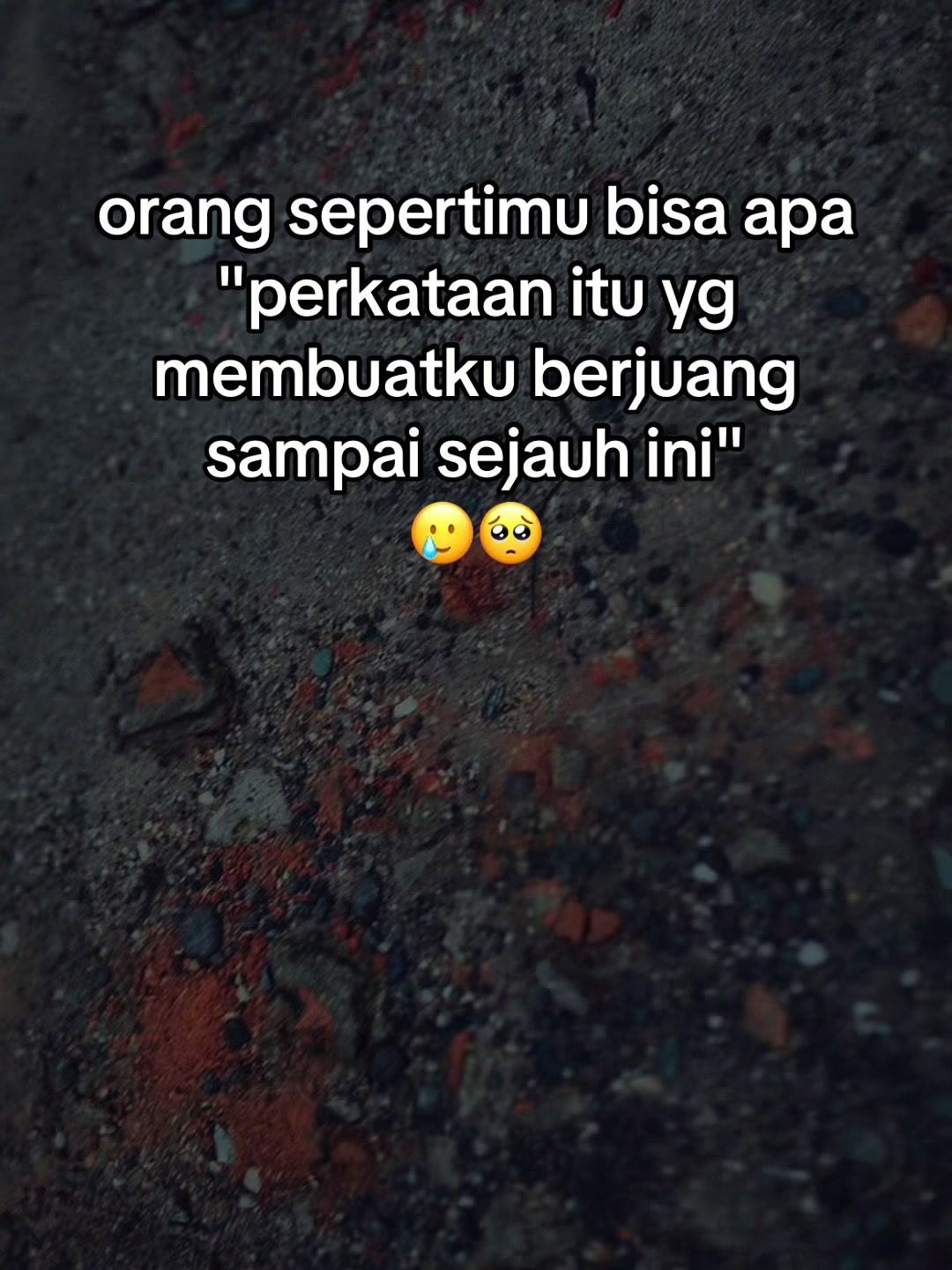 @TwoBrother🍃