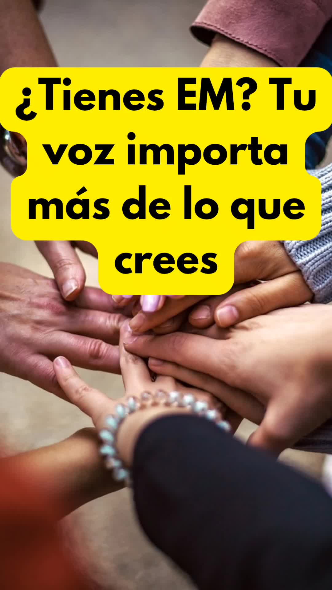 @Entendiendo la EM