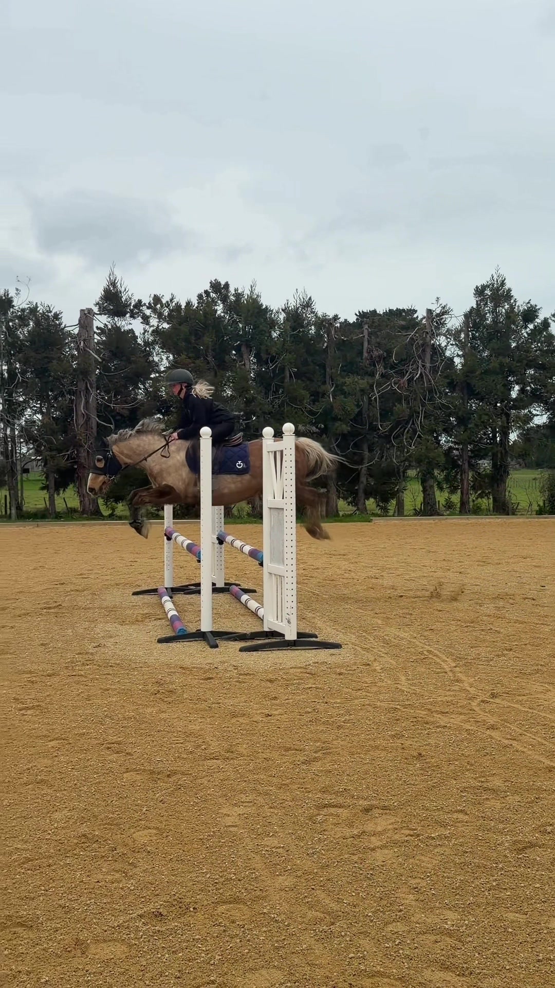 @Savanah_equestrian