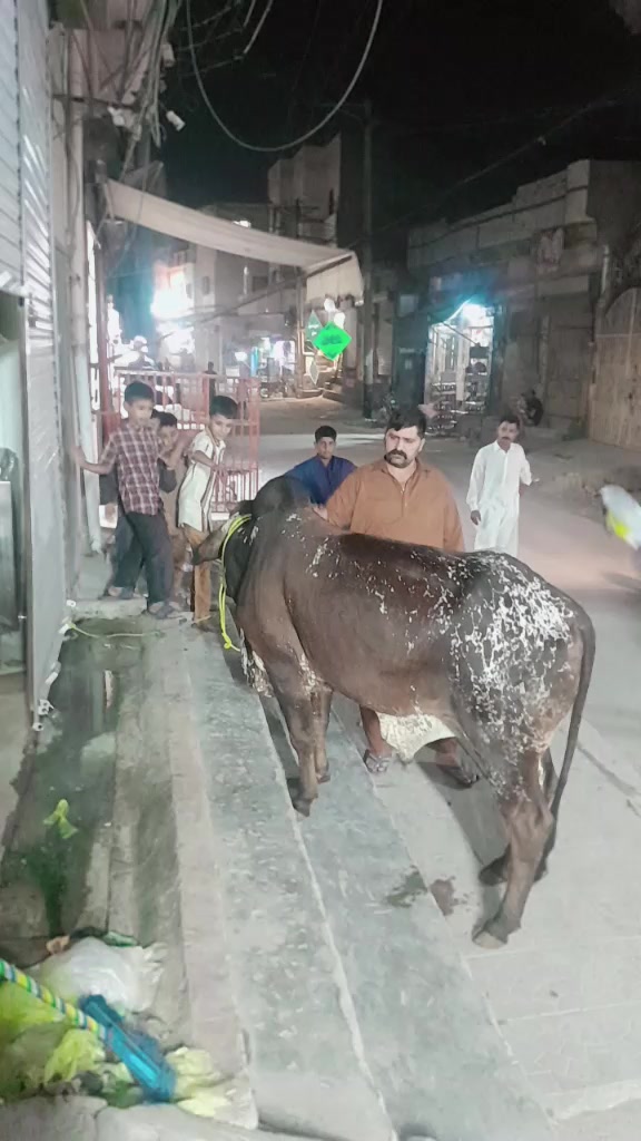 @👑 Ch Zahoor Gujjar