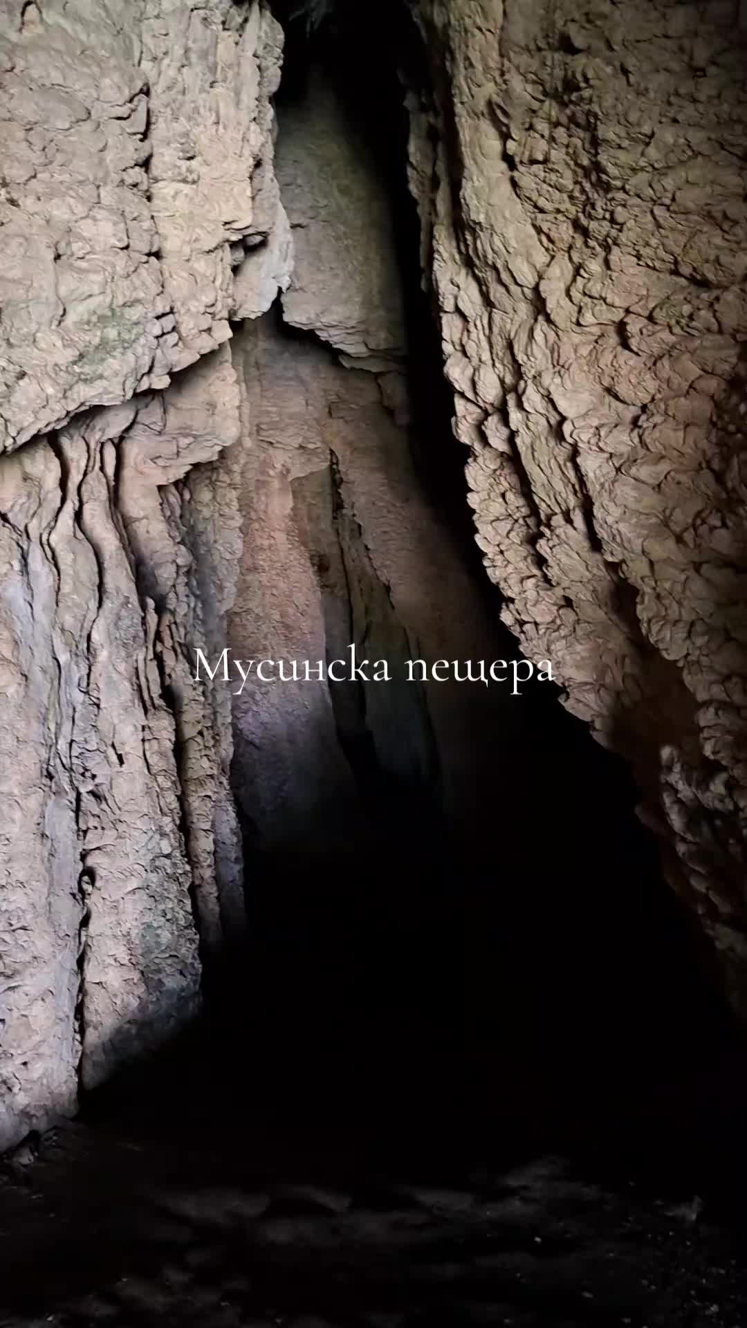 @Nedelin Bozhinov