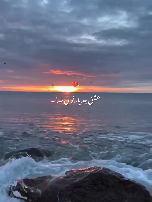 @𝙎𝙤𝙪𝙡𝙞𝙭 🎧