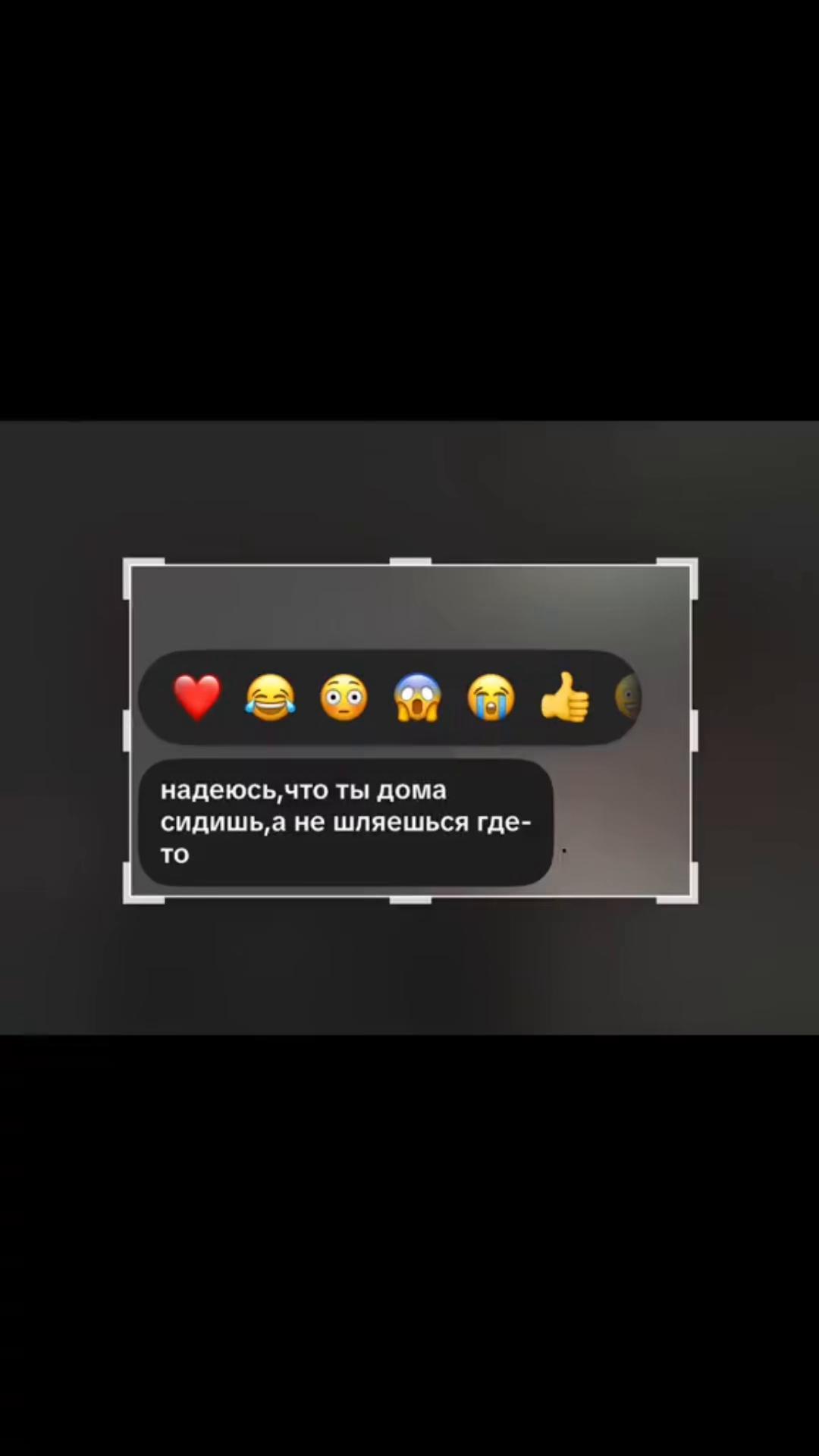 @тгк: тишка ⚜️