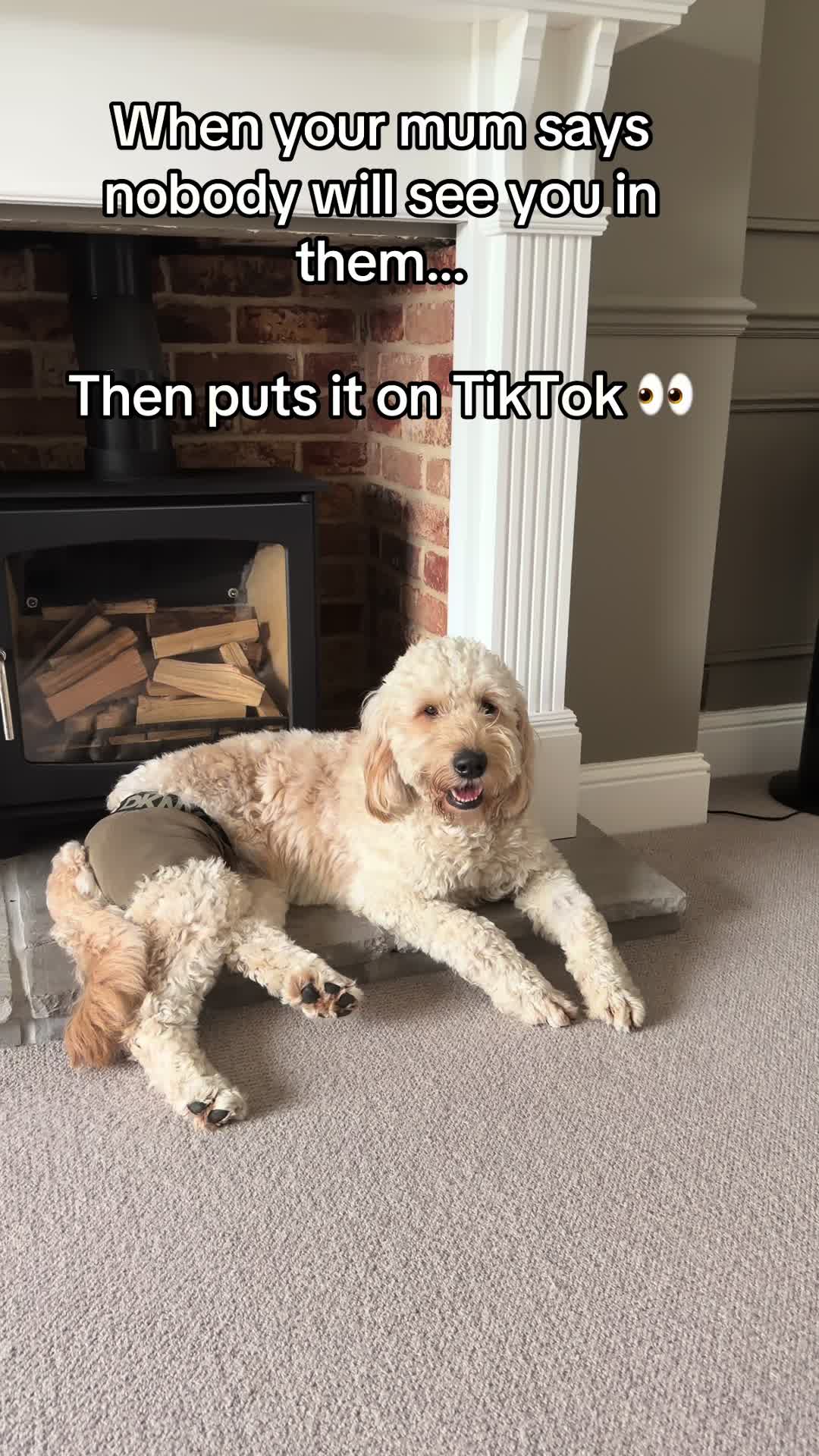 @HugsFromRalph