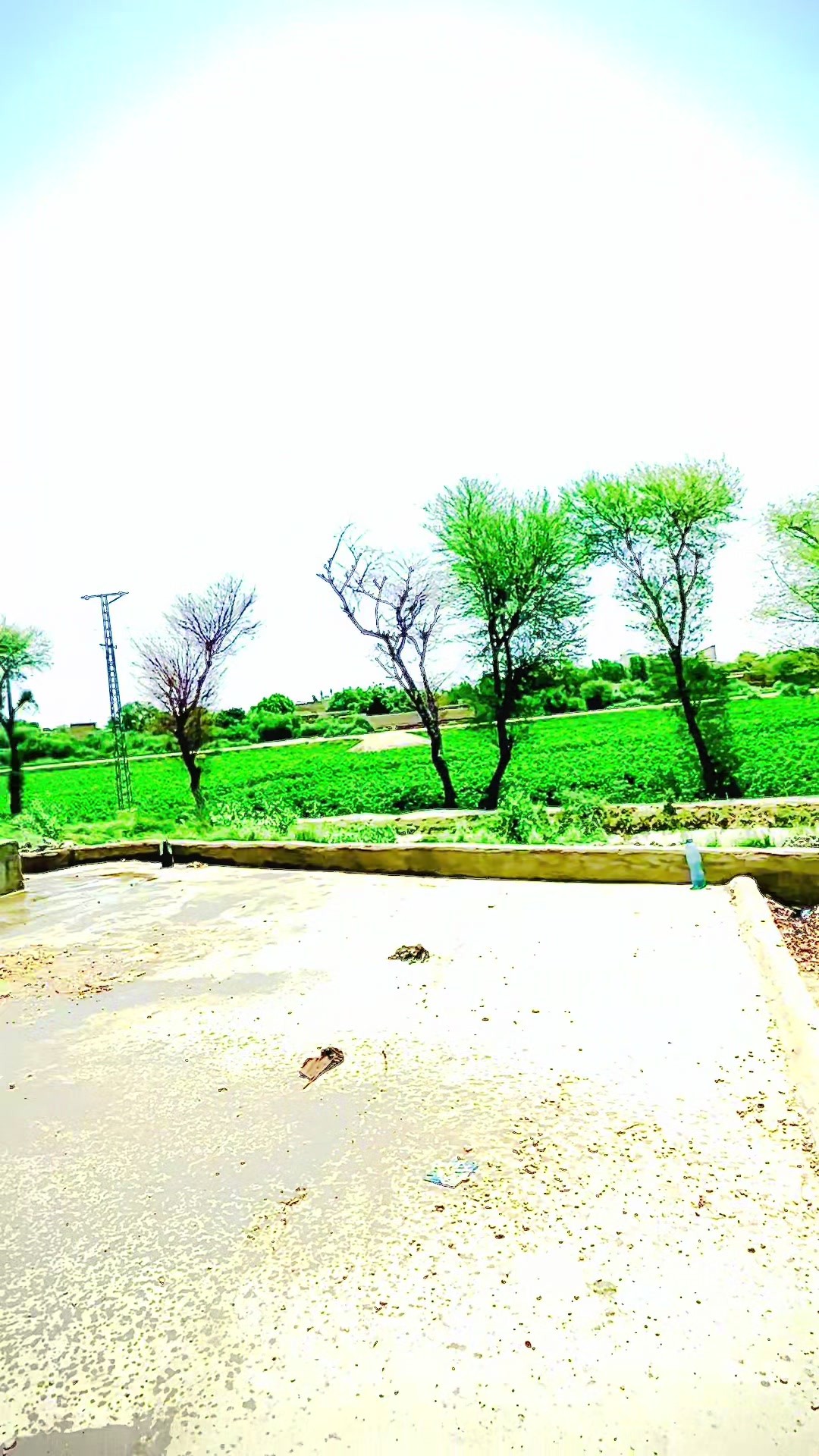 @𝐒𝐚𝐫𝐭𝐚𝐣 𝐀𝐥𝐢 ➂➇❽❹