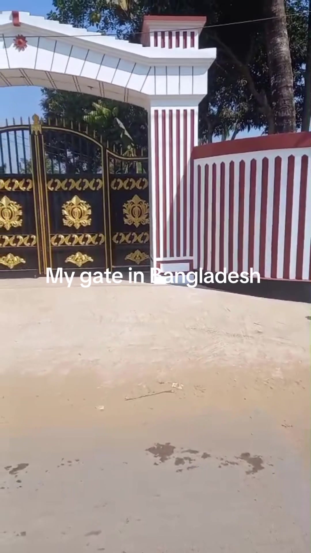 @sahmed431