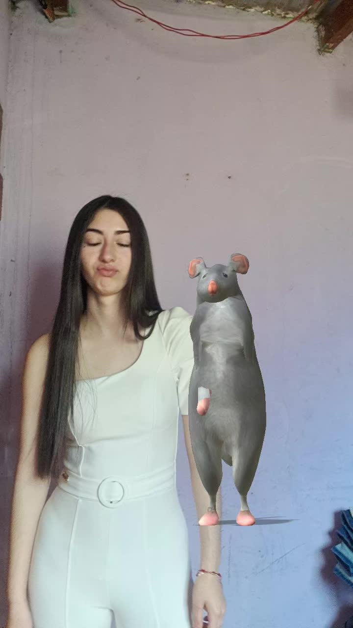 @Evee🐚