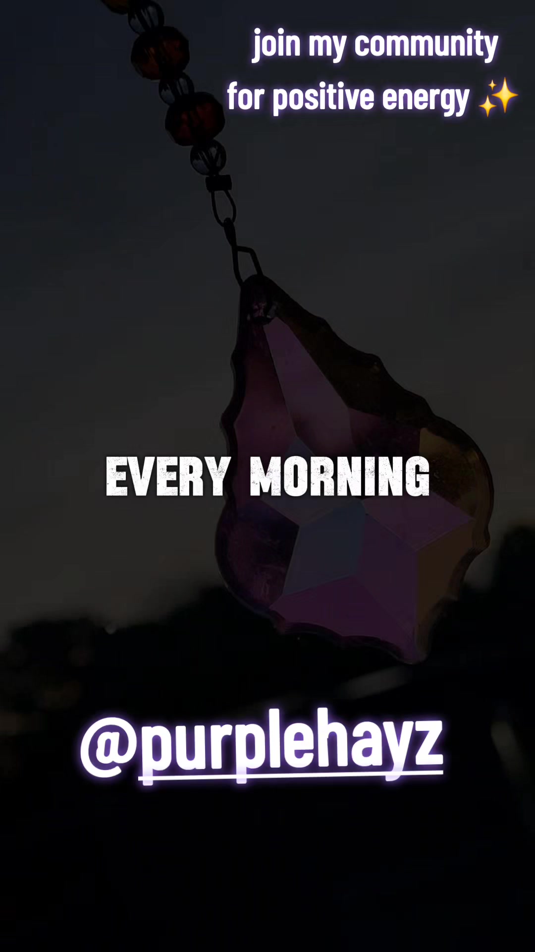 @Purple Hayz