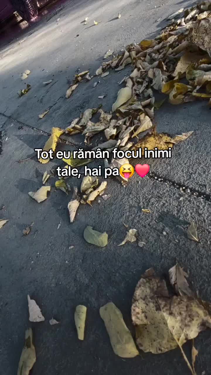 @Robert❤️