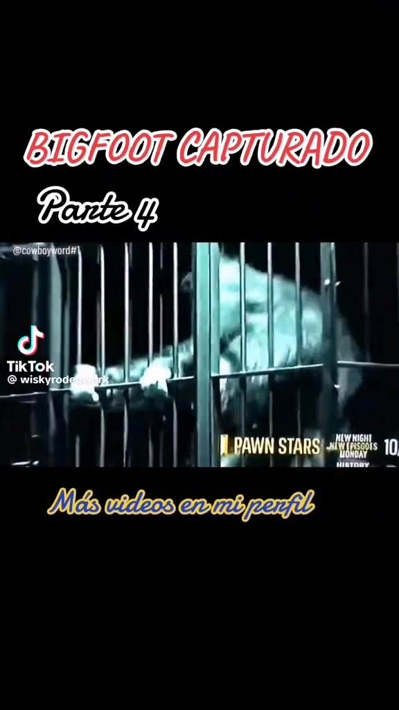@AK47