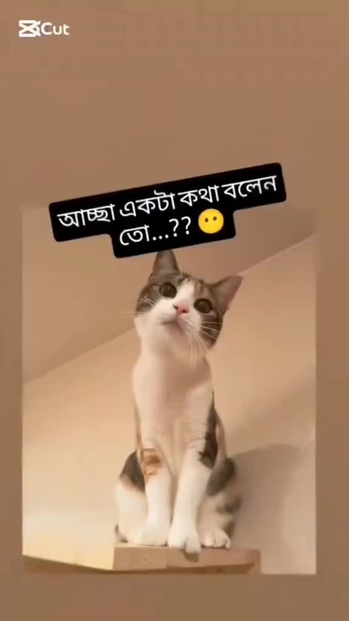 @Nushaiba