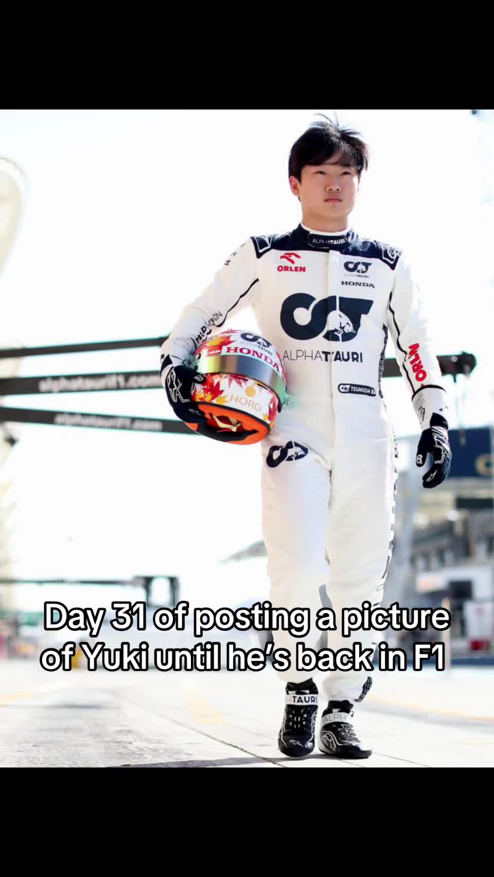@F1 Bull Ology