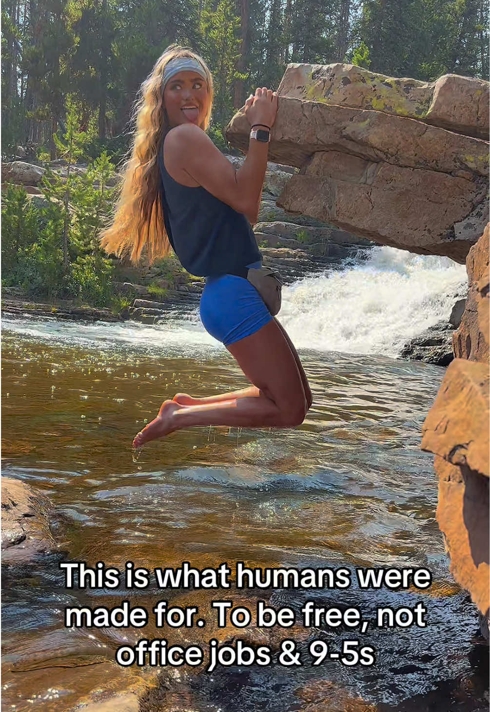 @itshalliewilde