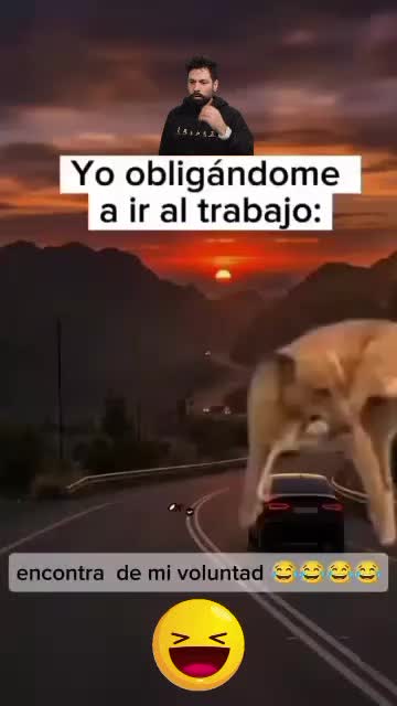 @Luis Trejo Piscui