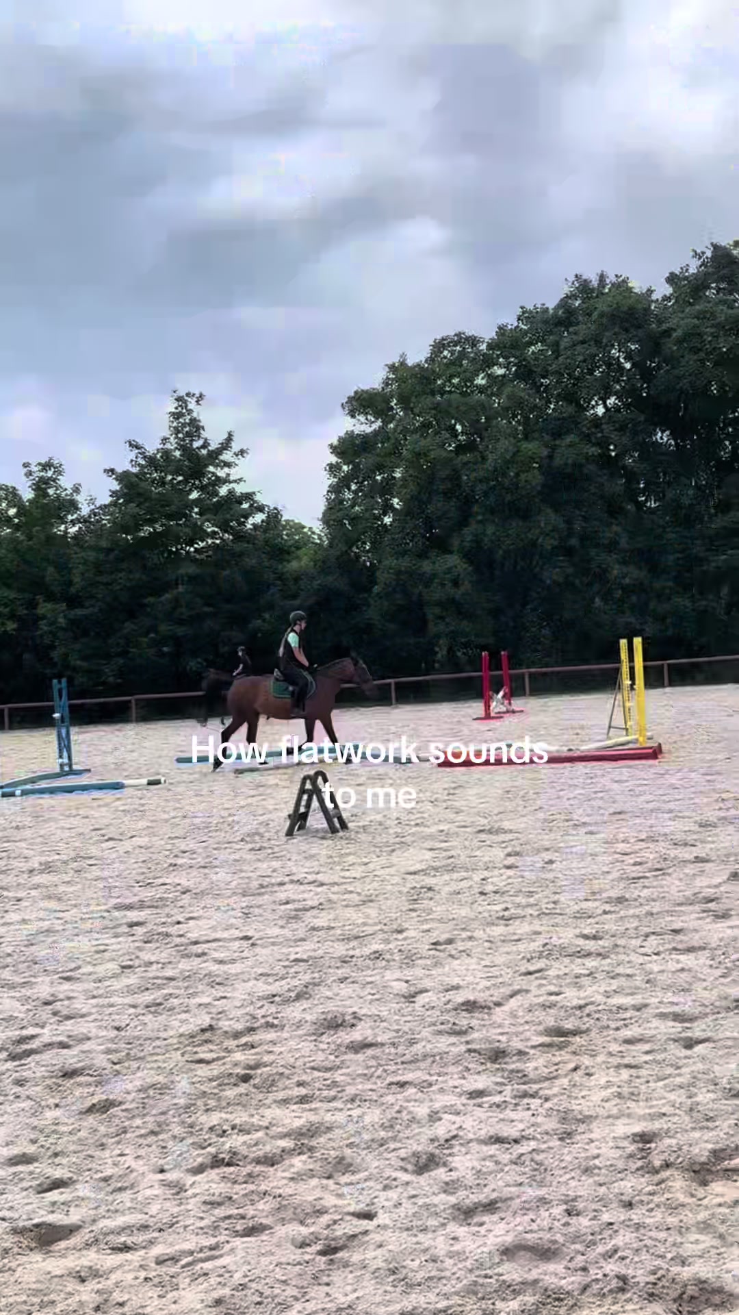 @s.equestrian